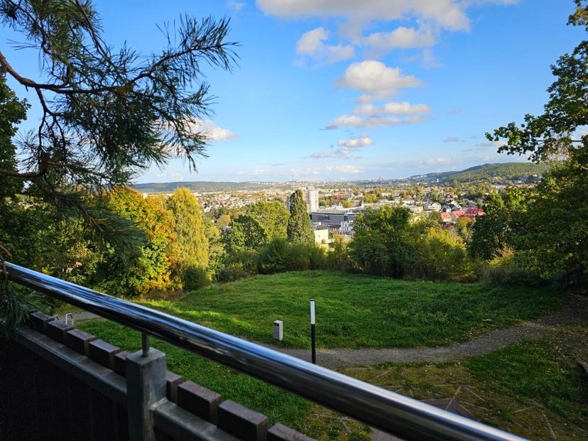 Trasa Walk & Talk – okolice Rumi